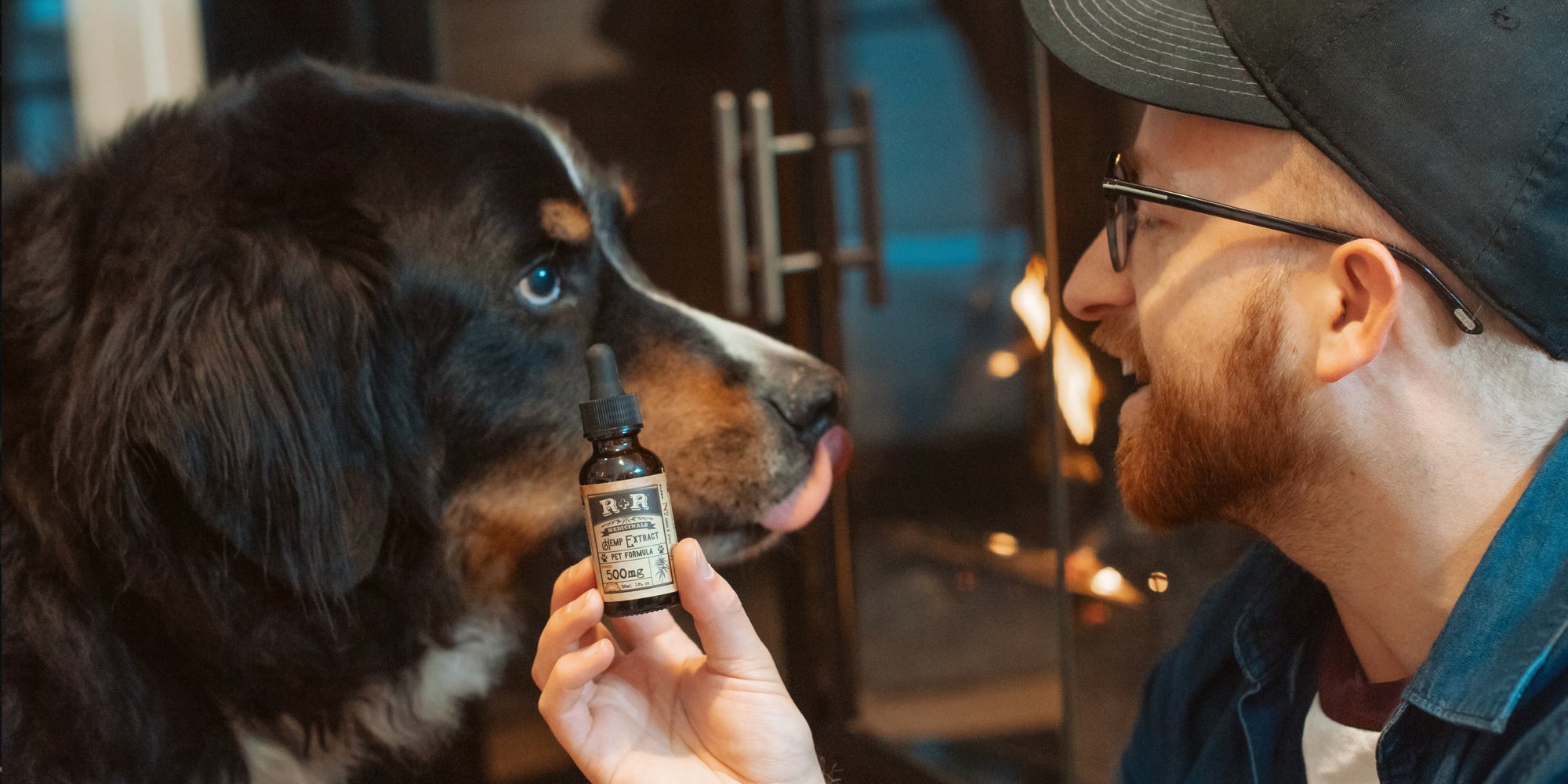 CBD Oil for Dogs