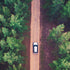 Driving With CBD